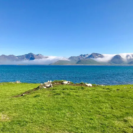 Cozy Lofoten * Лекнес