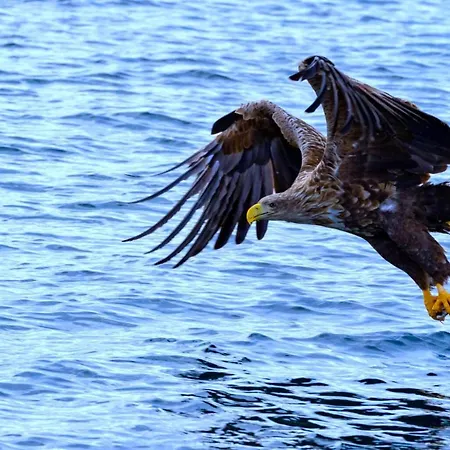 Apartamento Cozy Lofoten *