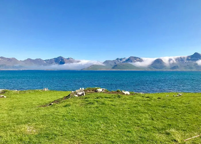 Cozy Lofoten * Leknes